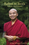 Radost ze života - Yongey Mingyur Rinpočhe - Kliknutím na obrázek zavřete